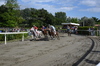 Immagine <b>REG_9260</b>